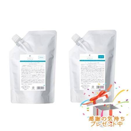 FLOWDIA フローディア シャンプー スプリングリフトa＆トリートメント スプリングリフトb つめかえ用 1000mL/1000g プレゼント付