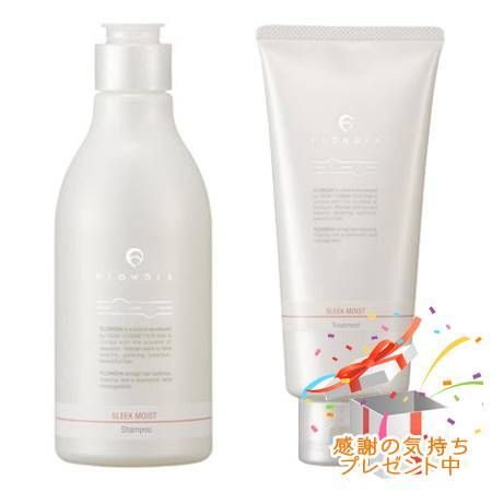 FLOWDIA フローディア シャンプー スリークモイストa＆トリートメント スリークモイストb 250mL/200g プレゼント付