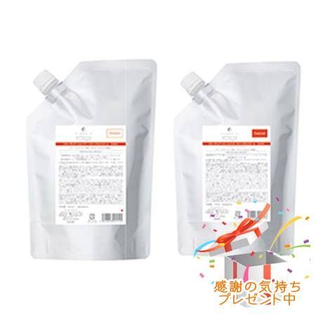 FLOWDIA フローディア シャンプー スリークモイストa&トリートメント スリークモイストb つめかえ用 1000mL/1000g プレゼント付