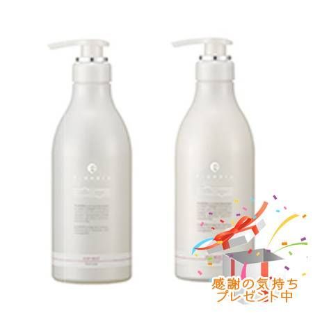 FLOWDIA フローディア シャンプー ディープモイストa＆トリートメント ディープモイストb 550mL/500g プレゼント付