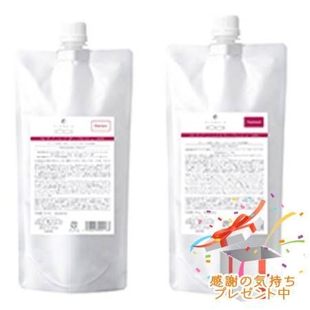 FLOWDIA フローディア シャンプー ディープモイストa＆トリートメント ディープモイストb つめかえ用 450mL/450g プレゼント付