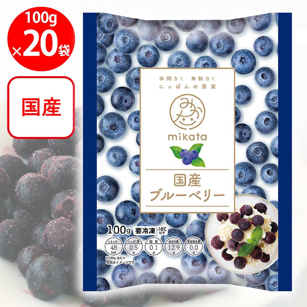 74 【大型180cm・現品限り】カシワバゴム フィカス 特大 観葉植物 74 【大型180cm・現品限り】カシワバゴム フィカス 特大 観葉植物