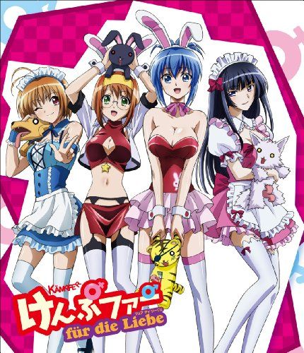 けんぷファー フュア ディ リーヴェ(初回限定生産版) [Blu-ray]／黒田やすひろ