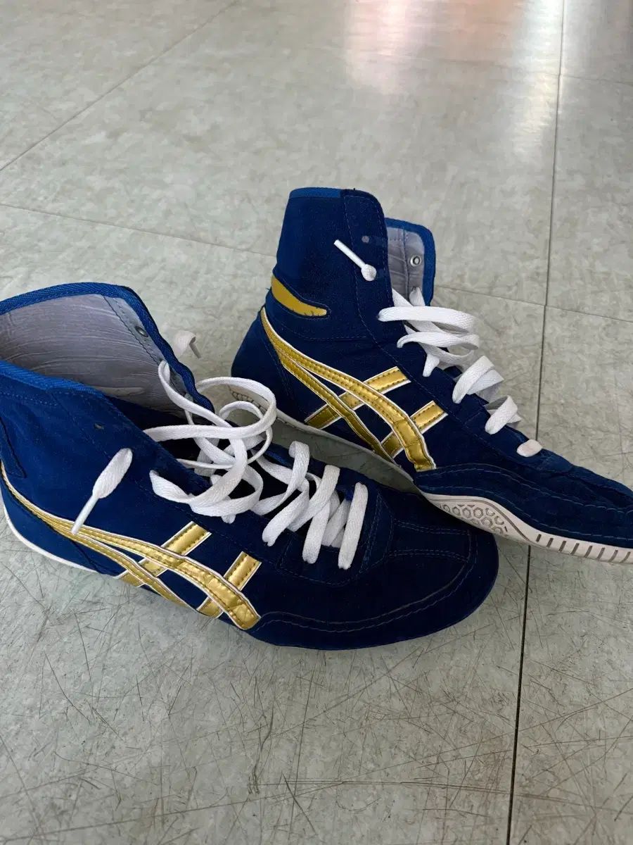 アシックス レスリングシューズ ボクシング シューズ ブルー GOLD