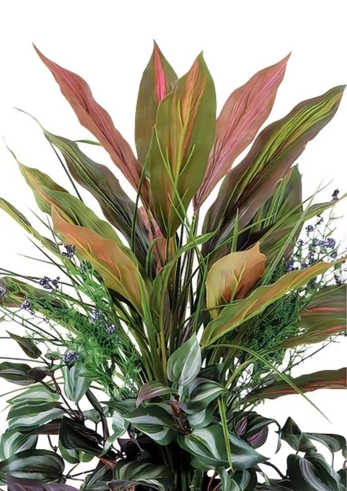 光触媒　人工観葉植物　ウォールグリーン　フェイクグリーン　フラッシュレッド 光触媒 人工観葉植物 ウォールグリーン フェイクグリーン レッドエッジ