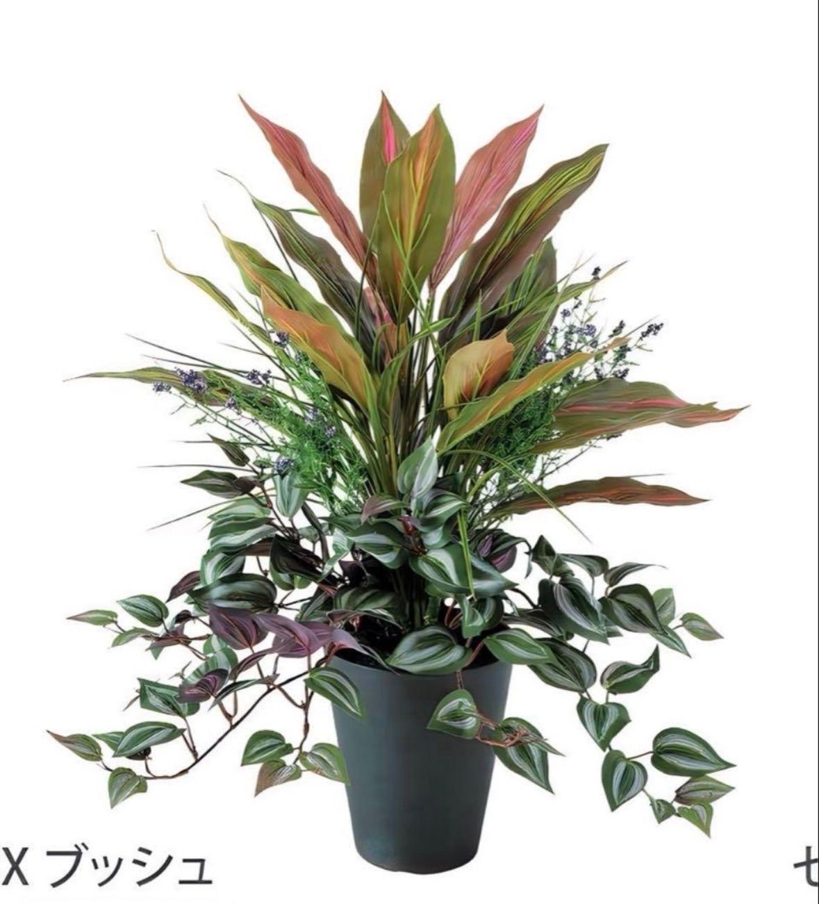 光触媒 人工観葉植物 ウォールグリーン フェイクグリーン レッドエッジ