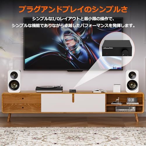 Nobound NS-06G デジタルアンプ 60W×2 TPA3116搭載 ミニ クラスD パワーアンプ HiFi ステレオ コンパクト設計 デスクトップ対応 RCA入力 DC12-24V対応（19V電源付属）mi a3d00459