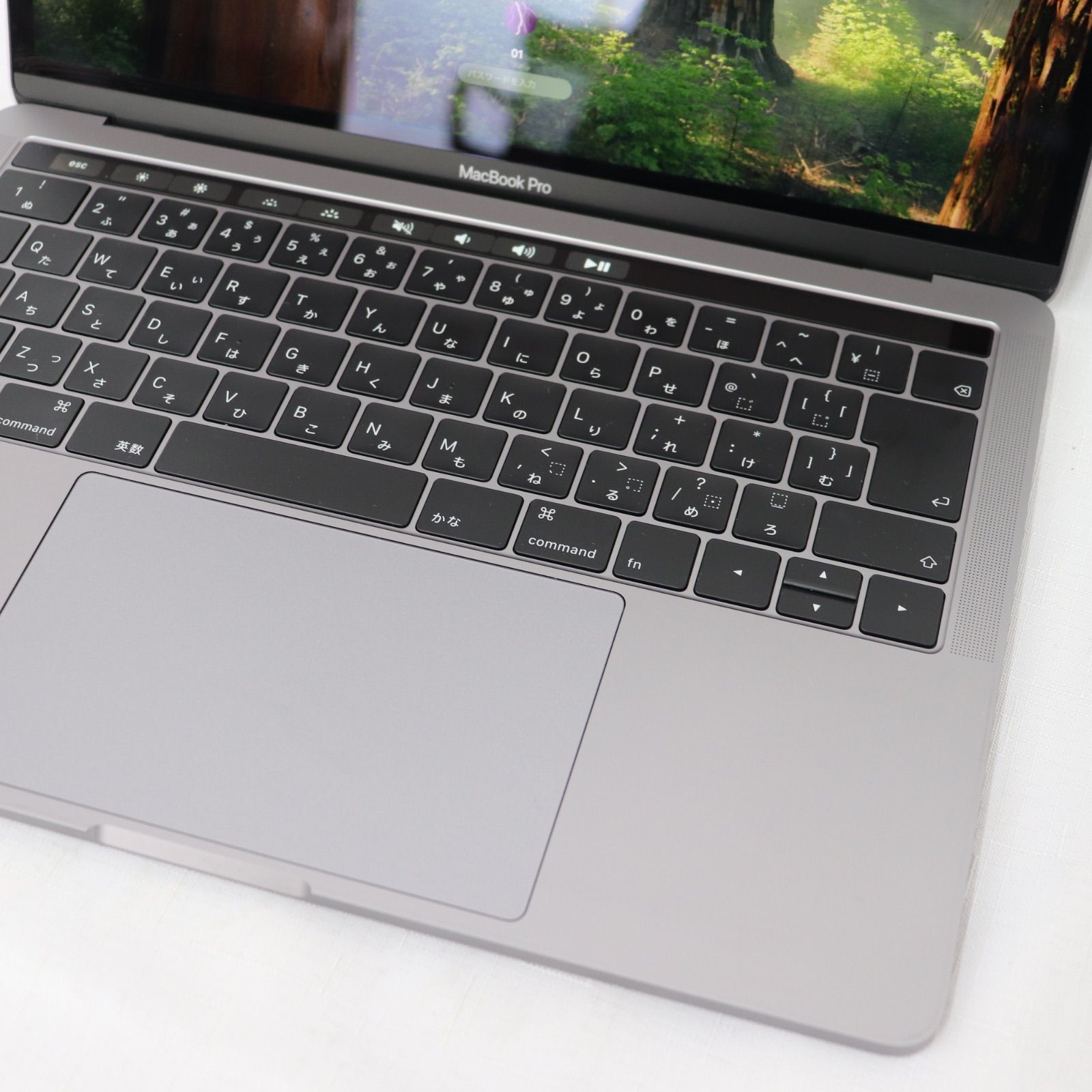 美品MacBook Pro A1989 16GB/250GB SSD - ラクル家電館
