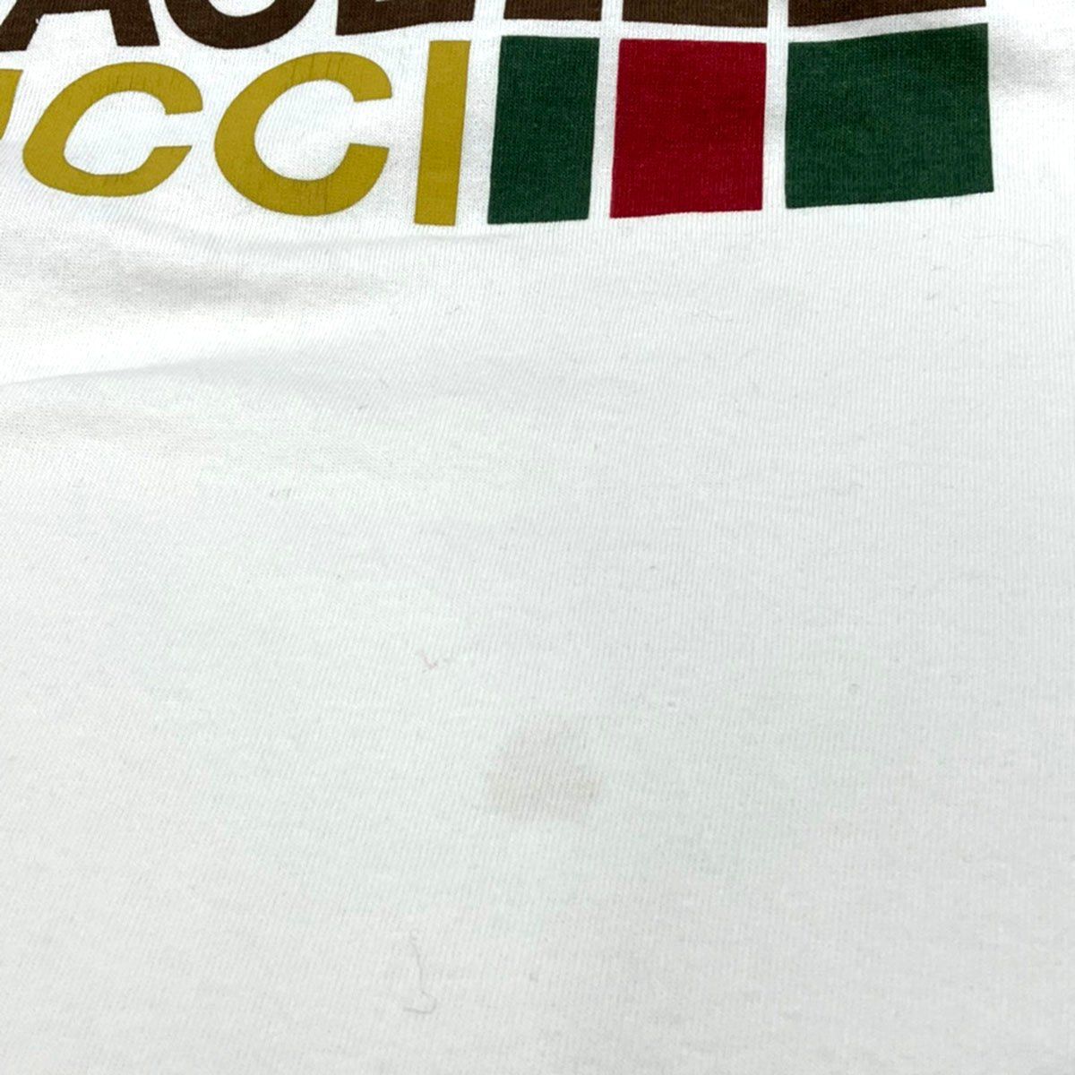 GUCCI×THE NORTH FACE グッチ ノースフェイス ロゴプリントTシャツ