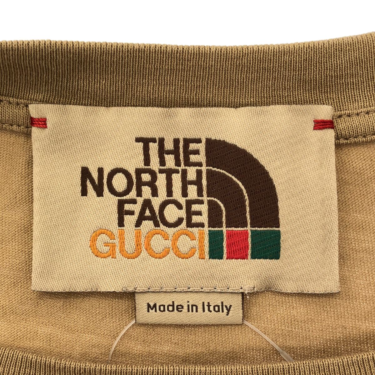 GUCCI×THE NORTH FACE グッチ ノースフェイス ロゴプリントTシャツ
