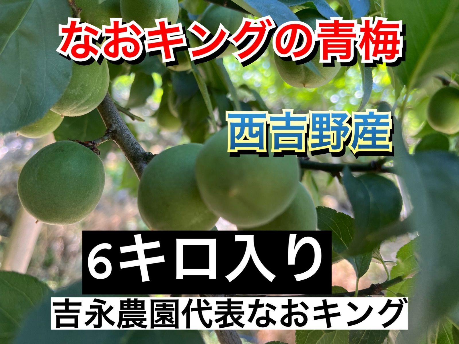 圭さん専用 30日購入 6月上旬発送 青梅 6キロ なおキングの梅