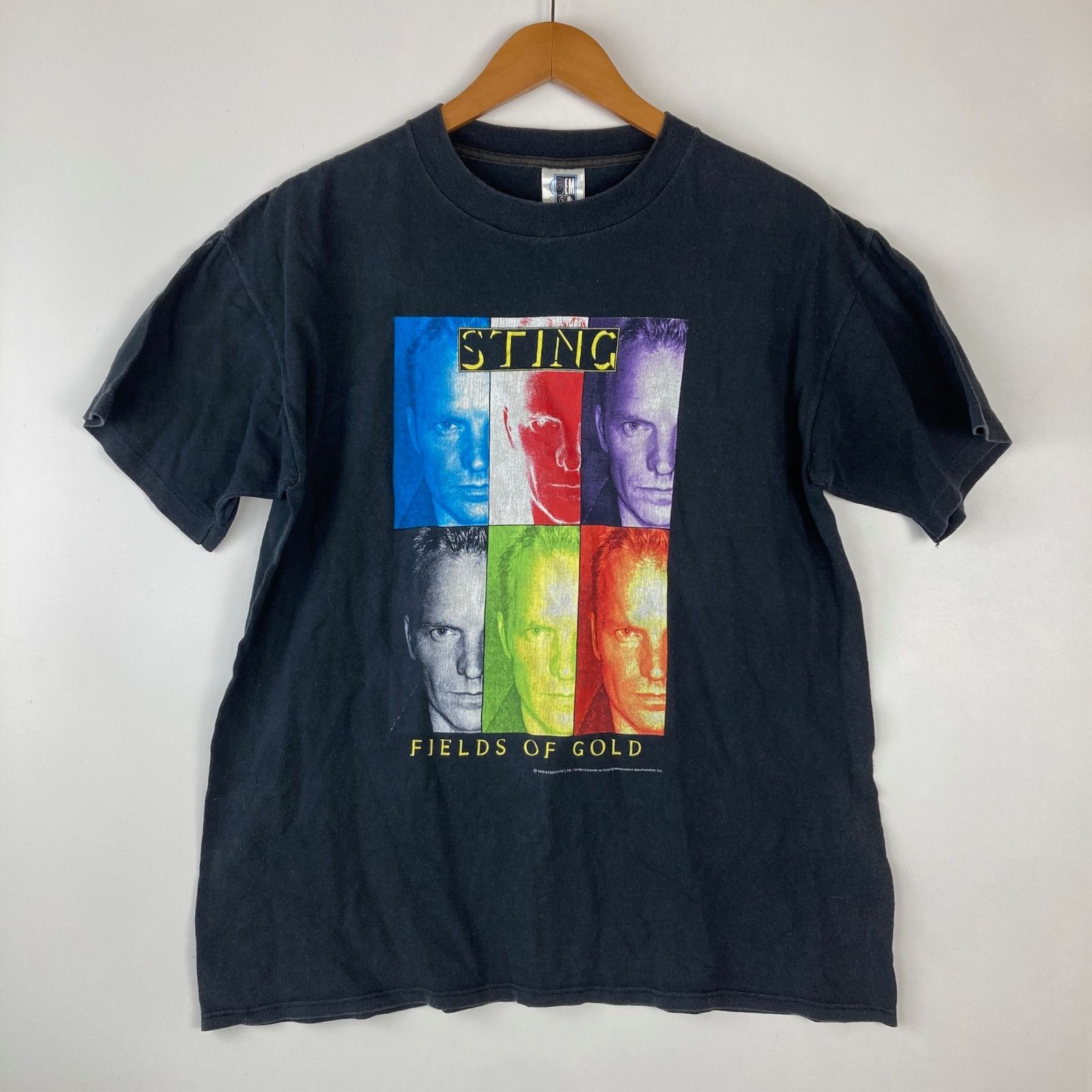 レア 90s STING FIELDS OF GOLD Tシャツ メンズ L ダークグレー 41310072