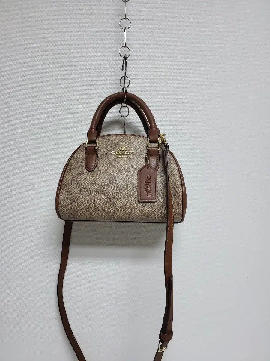COACH コーチ シグネチャー ドーム型 ミニバック 21/17