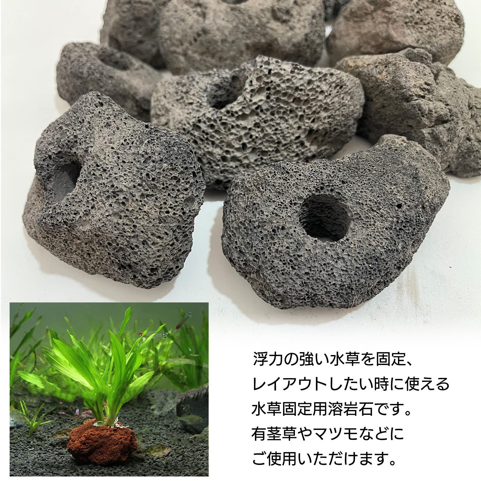 S-NET 溶岩 石 火山 岩 水槽 穴あき オブジェ 10個 セット