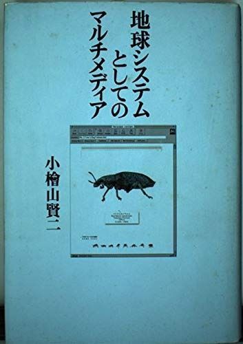 地球システムとしてのマルチメディア