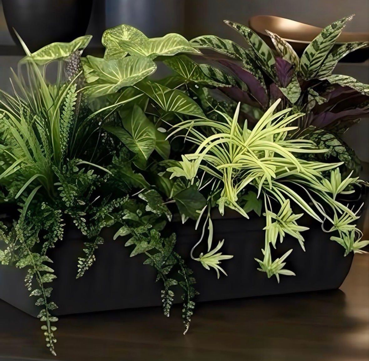 最終値下げ光触媒 人工観葉植物 ウォールグリーン フェイクグリーン