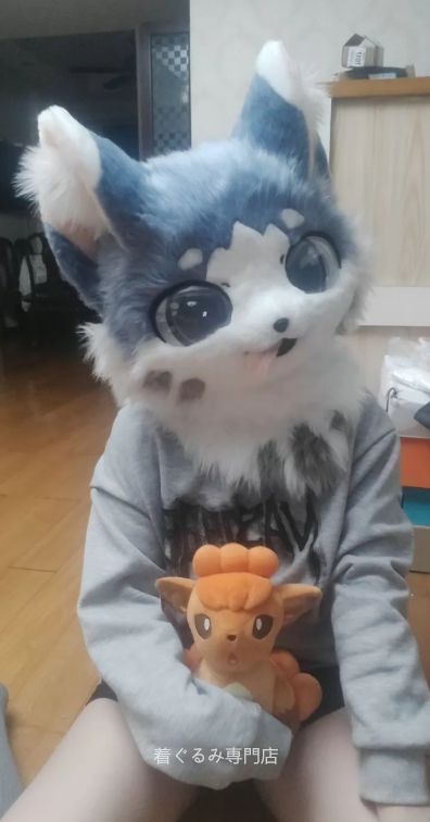 犬　猫　着ぐるみ ヘッド全頭　ヘッド ケモノ ファースーツ ぬいぐるみ コスプレ コスチューム Kurumi 一点物 C72