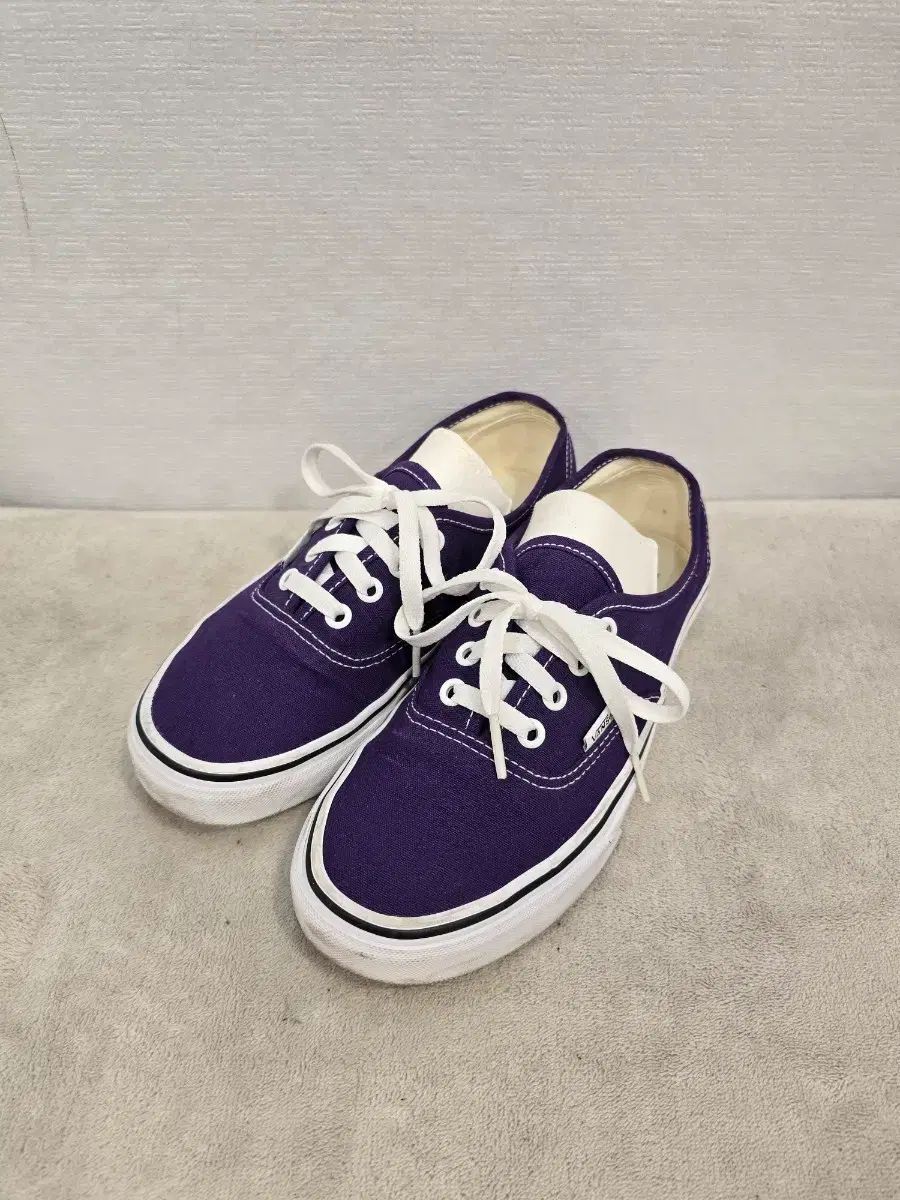 VANS アセンティック パープル スニーカー 230