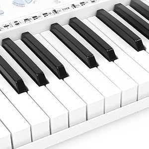 新品 61鍵 電子キーボード 光るキー 初心者 練習用 マイク付き