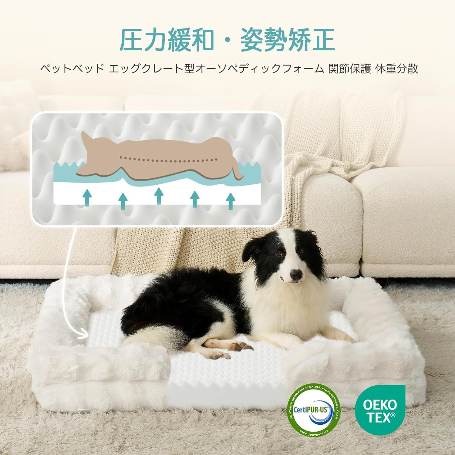 COZY KISS 犬 ベッド 整形外科サポート付き 体圧分散 老犬介護用 ソフトファーリング素材 中型小型犬対応 ペットソファ ボルスターデザイン 防水ライニング 滑り止め底面 洗える脱着カバー