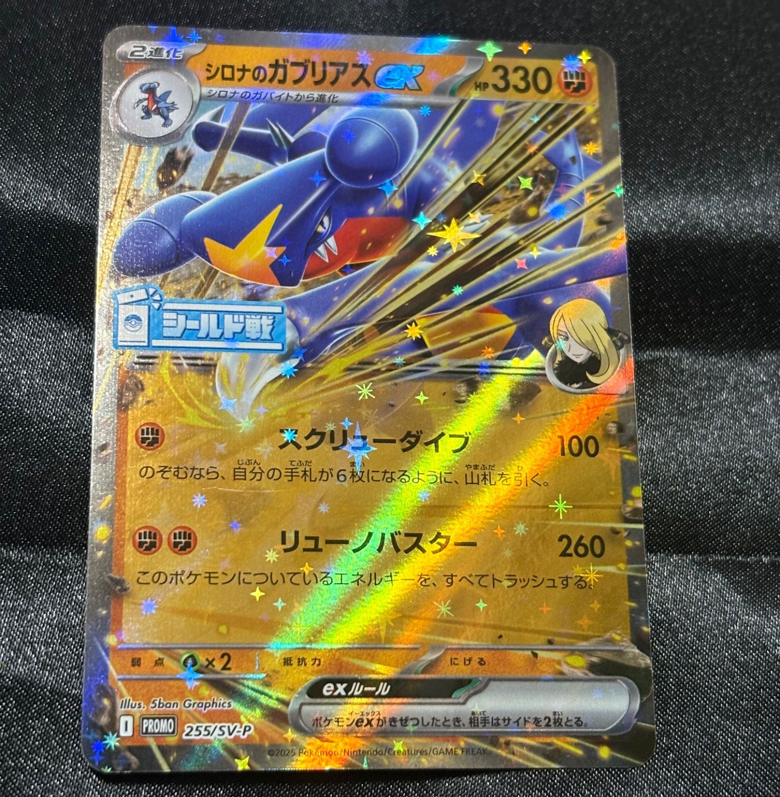 ポケモンカード　シロナのガブリアスEX シールド戦　プロモ　255/SV-P