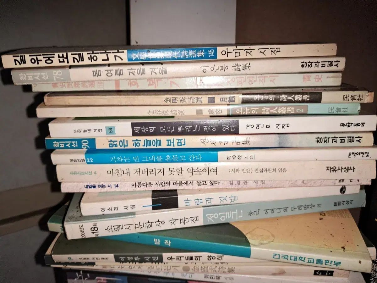 有名詩人たちの詩集コレクション写真、ジーンのみ10巻出品