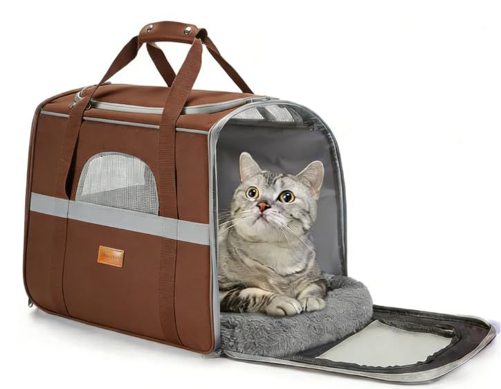 ノ*マ様 室内で生活する成猫用 インドア 4kg 2袋 合計8kg