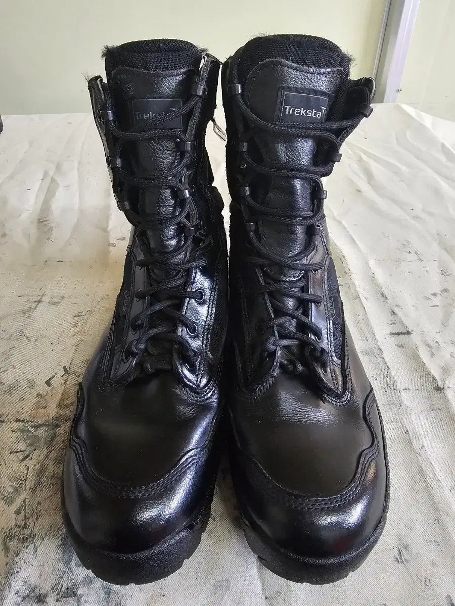 トレクスタ GORE-TEX ゴアテックス専門家用 登山靴兼 黒 カラー ウォーカーブーツ