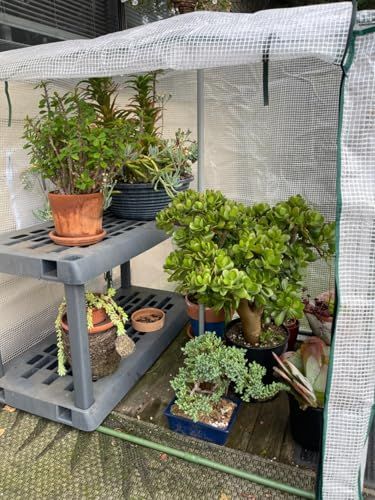 ビニールハウス ミニ温室 小型 120cm（長さ）×80cm（幅）×120cm（高さ）防寒カバー 植物 育苗 簡易温室 観葉植物 室外飼育 家庭菜園 温室棚as a648f8a8