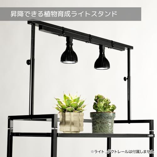 BIBILAB(ビビラボ) ビザールプランツライトスタンド LPS-800-WH 植物育成ライト取り付け可能 ライトシェード付属 同シリーズ連結 植物育成ライトスタンド スタンドライト 植物ラック 植物棚 塊根植物 アガベ ビカクシダ パキポ b188fdc1