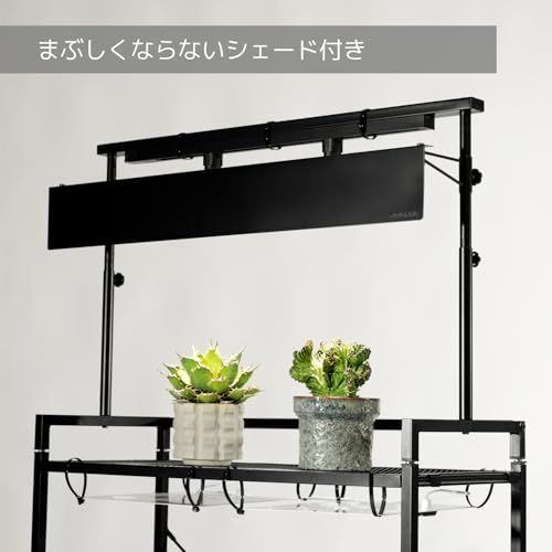 BIBILAB(ビビラボ) ビザールプランツライトスタンド LPS-800-WH 植物育成ライト取り付け可能 ライトシェード付属 同シリーズ連結 植物育成ライトスタンド スタンドライト 植物ラック 植物棚 塊根植物 アガベ ビカクシダ パキポ b188fdc1
