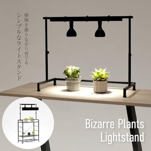 BIBILAB(ビビラボ) ビザールプランツライトスタンド LPS-800-WH 植物育成ライト取り付け可能 ライトシェード付属 同シリーズ連結 植物育成ライトスタンド スタンドライト 植物ラック 植物棚 塊根植物 アガベ ビカクシダ パキポ b188fdc1