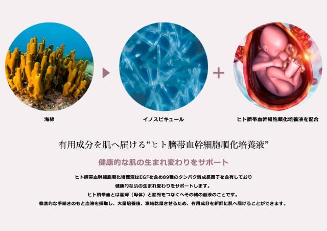 【新品】ハリトス ファンデーション コルセットファンデーション 正規品 15g HT HARITHOTH 韓国コスメ a7bb4bdc 【新品】ハリトス ファンデーション コルセットファンデーション 正規品 15g HT HARITHOTH 韓国コスメ a7bb4bdc