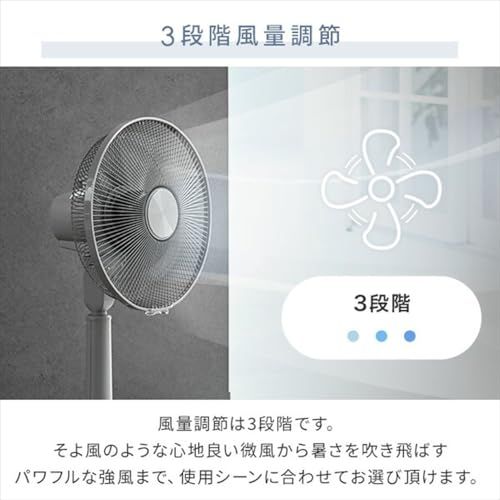 【新品】[山善] 扇風機 リビング 押しボタンスイッチ 風量調節3段階 タイマー機能付き 換気 アイスグレー YLT-AG30E(IG) f3ff9c58