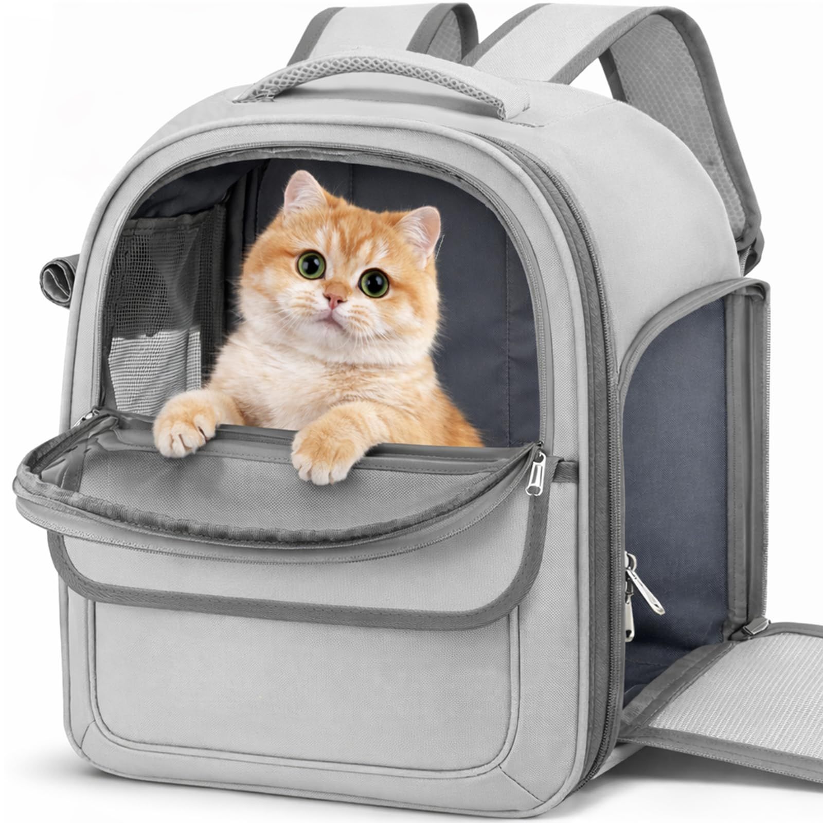 ペットバックパック 猫 キャリーバッグ 犬 リュック 犬用 キャリー 猫用 ペットキャリー 猫用 犬用 リュックタイプ メッシュ窓 PVC窓 小型犬 キャリーバッグ 折り畳み 軽量 シートベルト固定可 子猫・中・大型猫用・小型犬・うさぎ用 お 1ff80e22