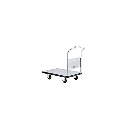 新品 ダンディ