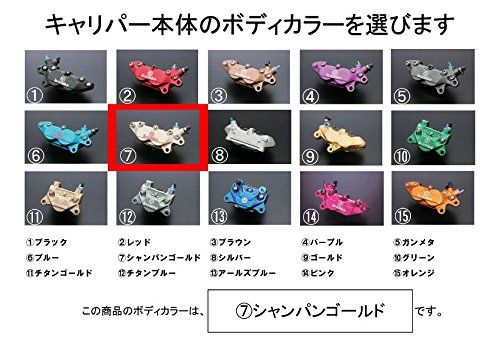 新品 コーケン(KOHKEN) 2POTキャリパー 旧カニ 取り出し左 シルバーボルト アルミ 本体カラー:シャンパンゴールド/ロゴカラー:シルバー OD2LW-CG-SV