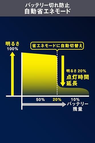 ムサシ(MUSASHI) LEDセンサーライト センサーライト ソーラー式 着脱パネル式 マルチアーム 省エネ 屋外 自動点灯 防犯ライト 角度調整可能 駐車場 カーポート ガレージ 倉庫 常夜灯 2灯 S-200Lts 87f43076