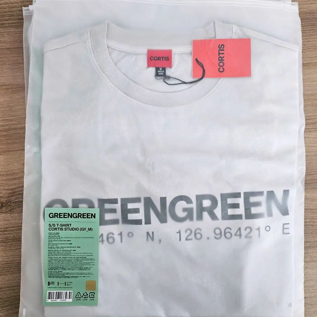 コルティス グリーン グリーン ポップアップ Tシャツ スタジオ (グレー) M サイズ