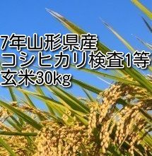 山形産コシヒカリ検査米1等