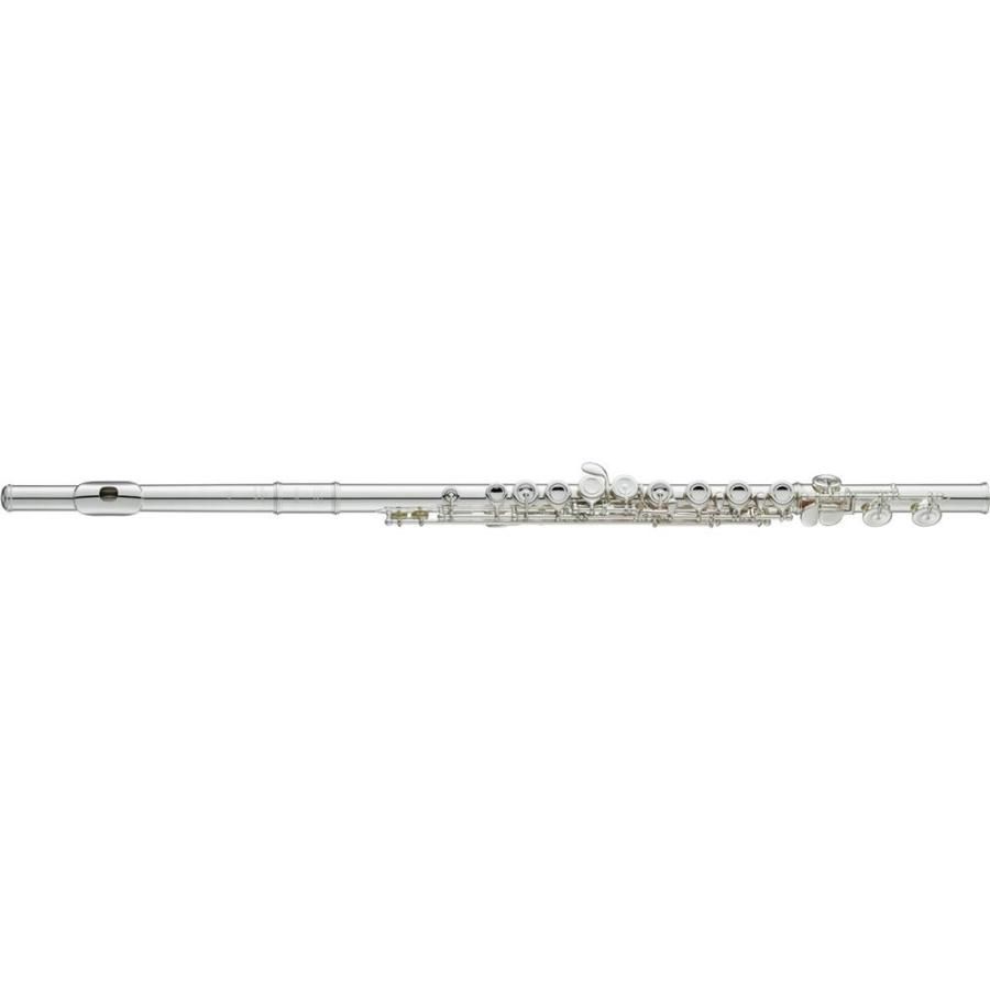 YAMAHA ヤマハ ﾌﾟﾛﾌｪｯｼｮﾅﾙﾌﾙｰﾄYFL-717