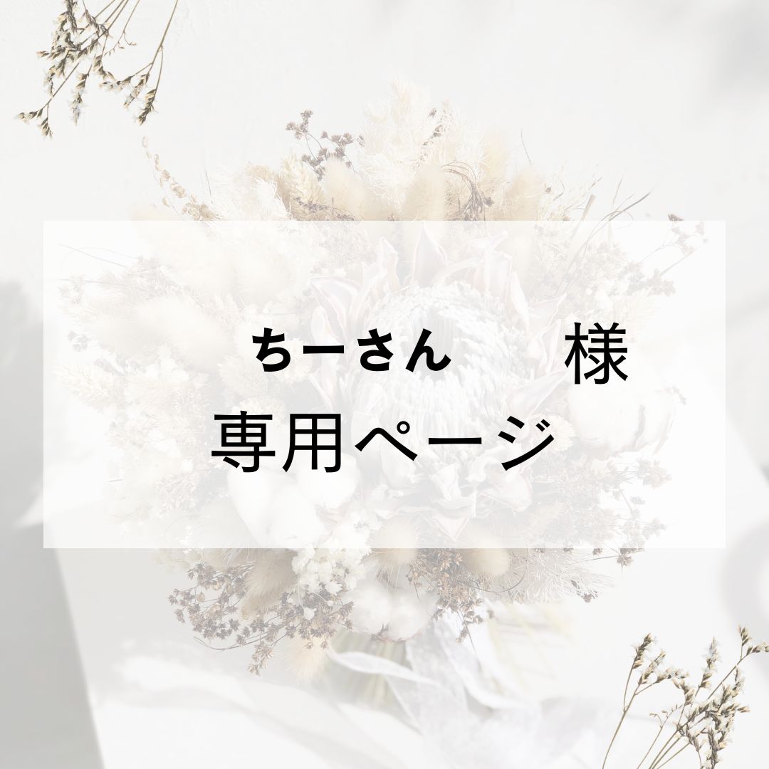 ちーさん様専用 - メルカリ
