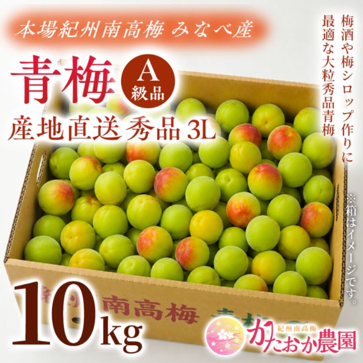 【クール便】本場紀州南高梅 みなべ町産 産地直送♪ 秀品(A級)青梅 3L 10kg