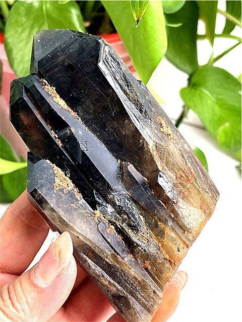 AAA級【魔除け】◆天然モリオン(黒水晶）クラスターYT10C6/184C10D AAA級【魔除け】◇天然モリオン(黒水晶）クラスターYT11C6/58C31A
