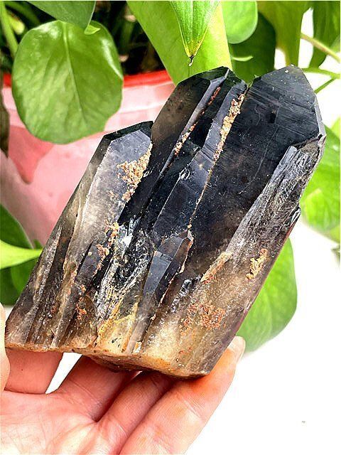 AA級魔除け天然モリオン黒水晶クラスターB0317/YS/ZXA260/539C AAA級【魔除け】◇天然モリオン(黒水晶）クラスターYT11C6/58C31A