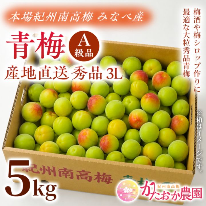 食品 紀州南高梅 秀品 3Lサイズ 5kg