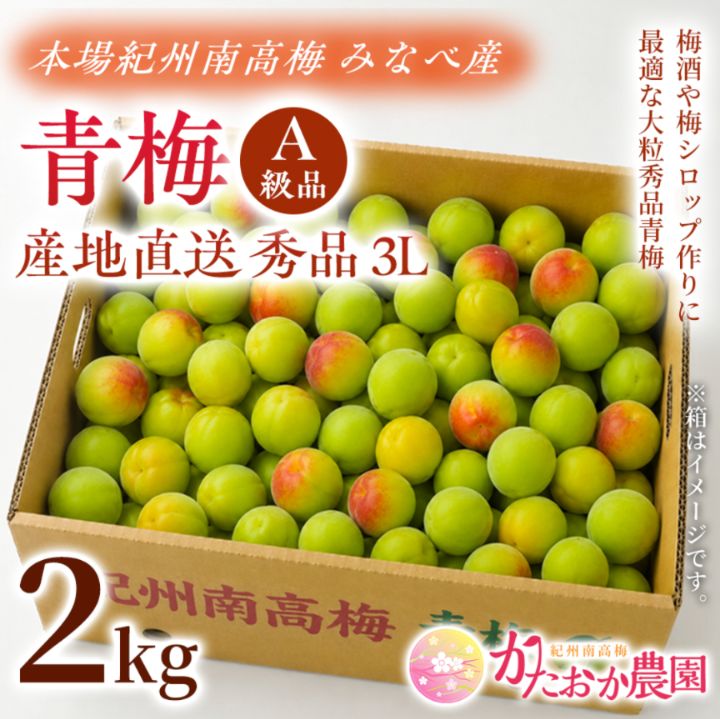 産地直送♪ 秀品(A級)青梅 3L 10kg 本場 紀州南高梅 みなべ産 秀品（A