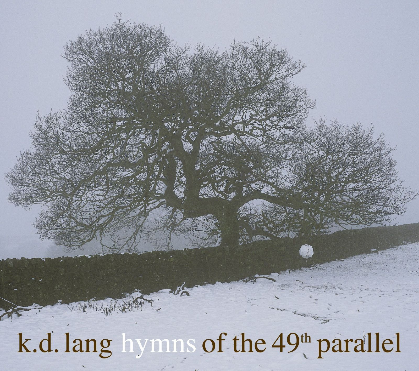 【CD】Hymns of the 49th Parallel