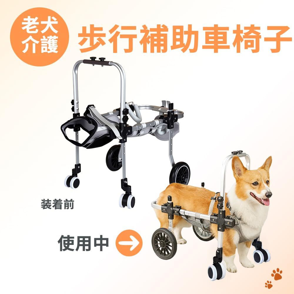 訳あり新品☆外箱段ボールにキズ・汚れあり・中身は新品です】犬用