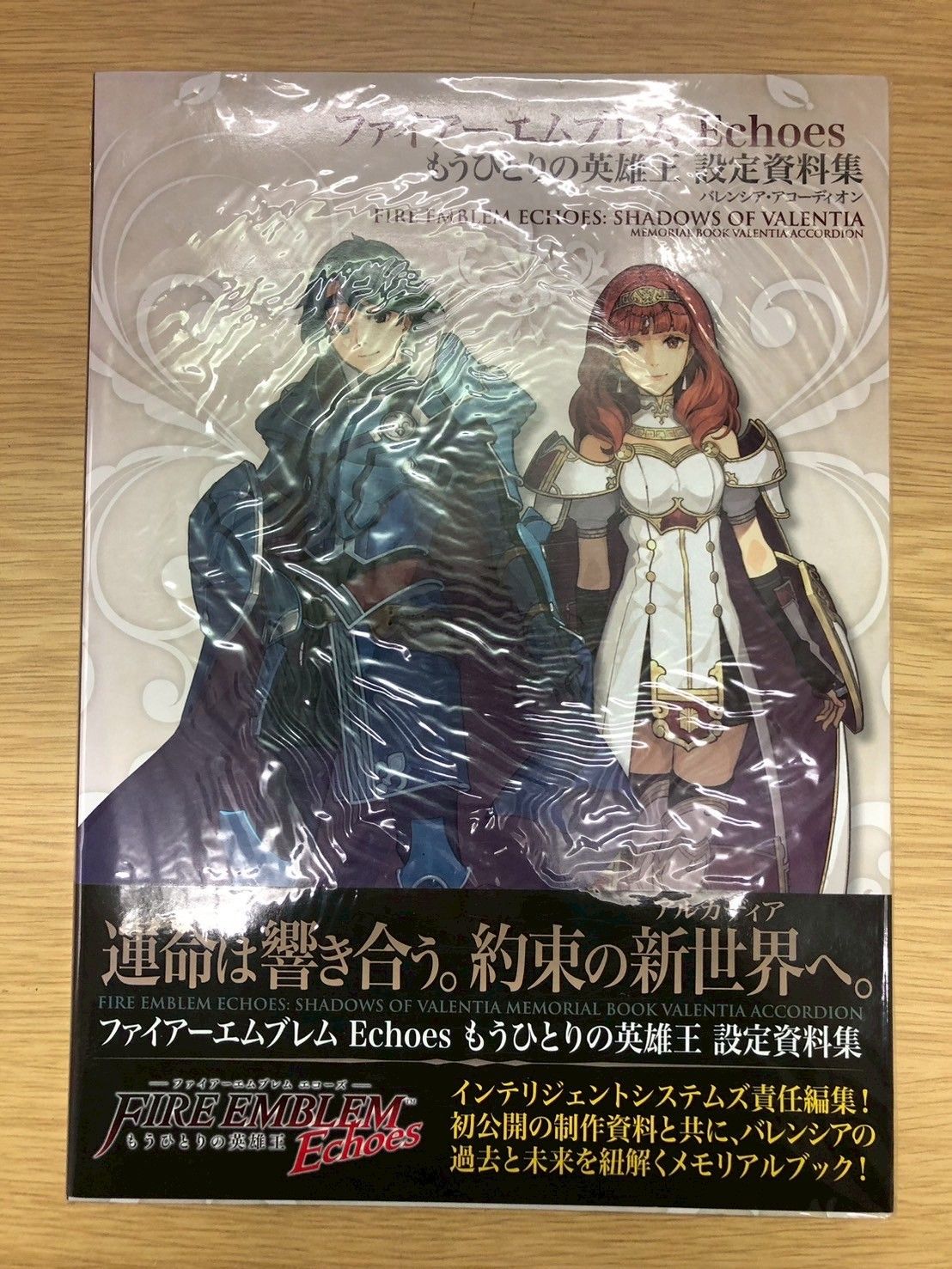 未開封シュリンクあり】ファイヤーエムブレムEchoes もうひとりの英雄